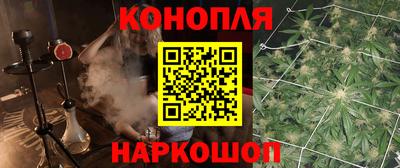 крисы Берёзовский