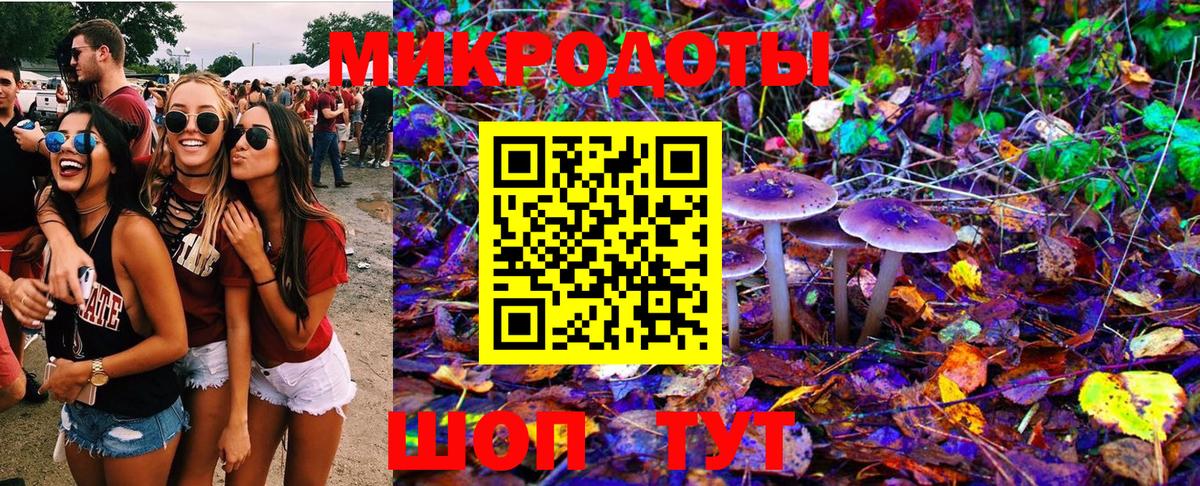 Псилоцибиновые грибы Psilocybine cubensis  Вход с VPN  Кизилюрт 
